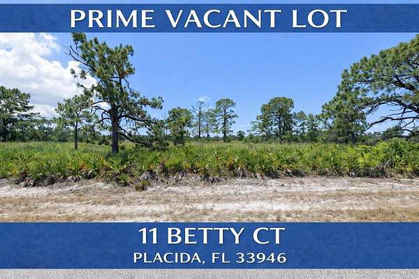0.17 Acres of Residential Land for Sale in Placida, Florida