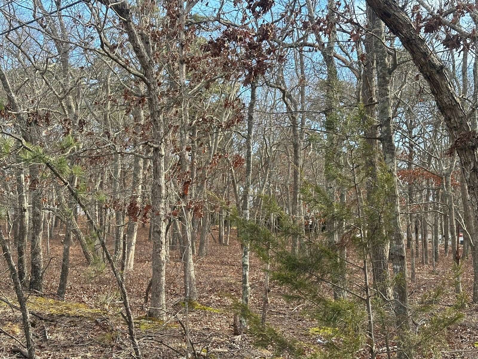 0.93 Acres of Land for Sale in Little Egg Harbor Township, New Jersey