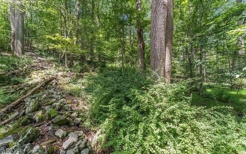 3.87 Acres of Residential Land for Sale in Holland Township, New Jersey