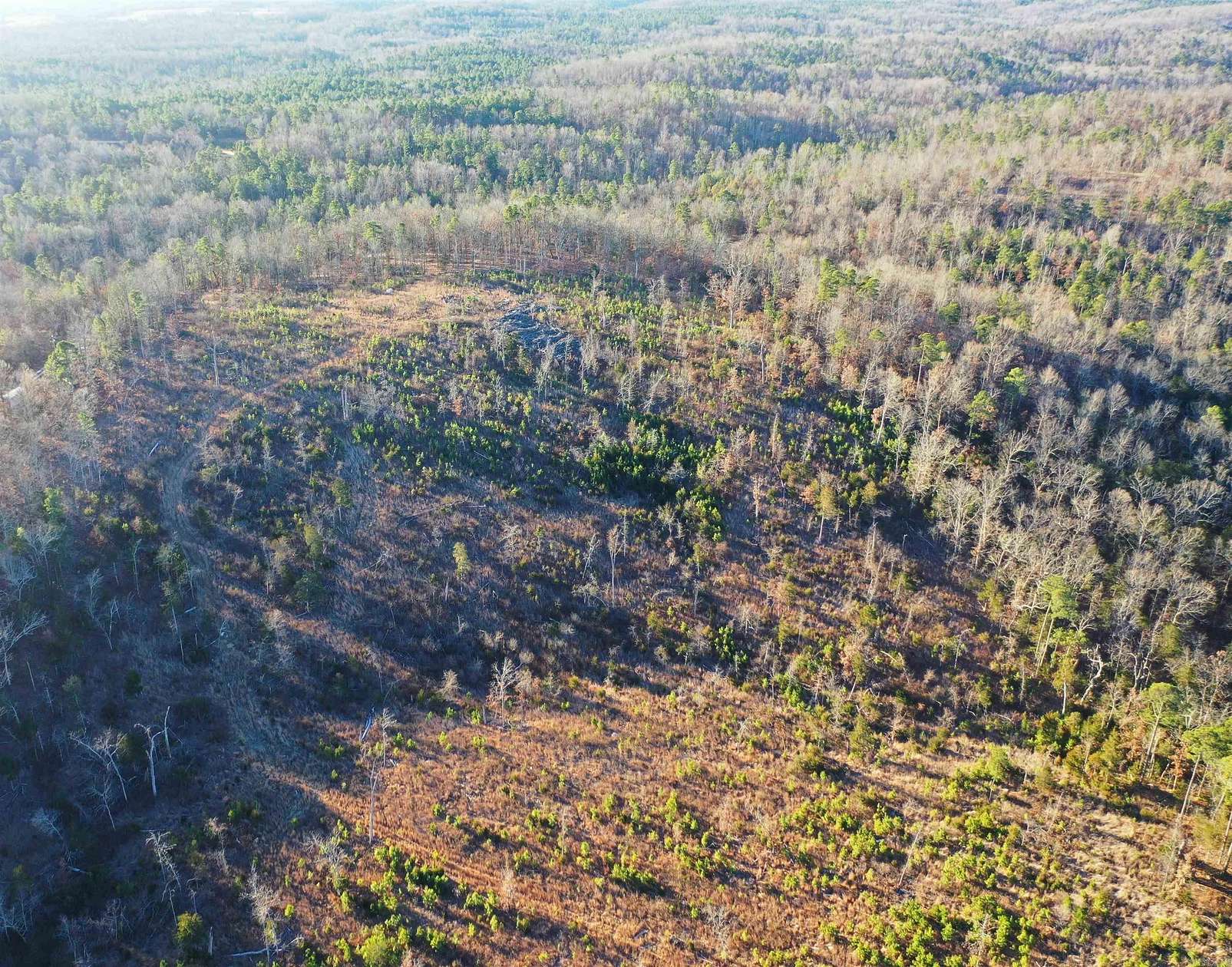 20 Acres of Recreational Land for Sale in Bexar, Arkansas