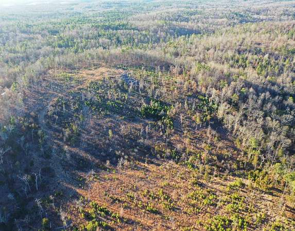 20 Acres of Recreational Land for Sale in Bexar, Arkansas