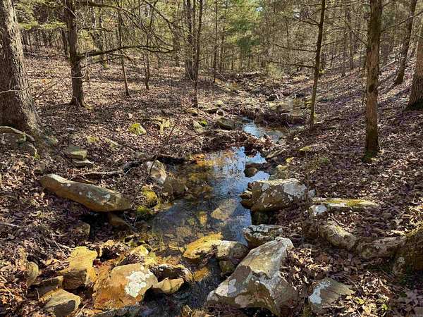 10 Acres of Residential Land for Sale in Quitman, Arkansas