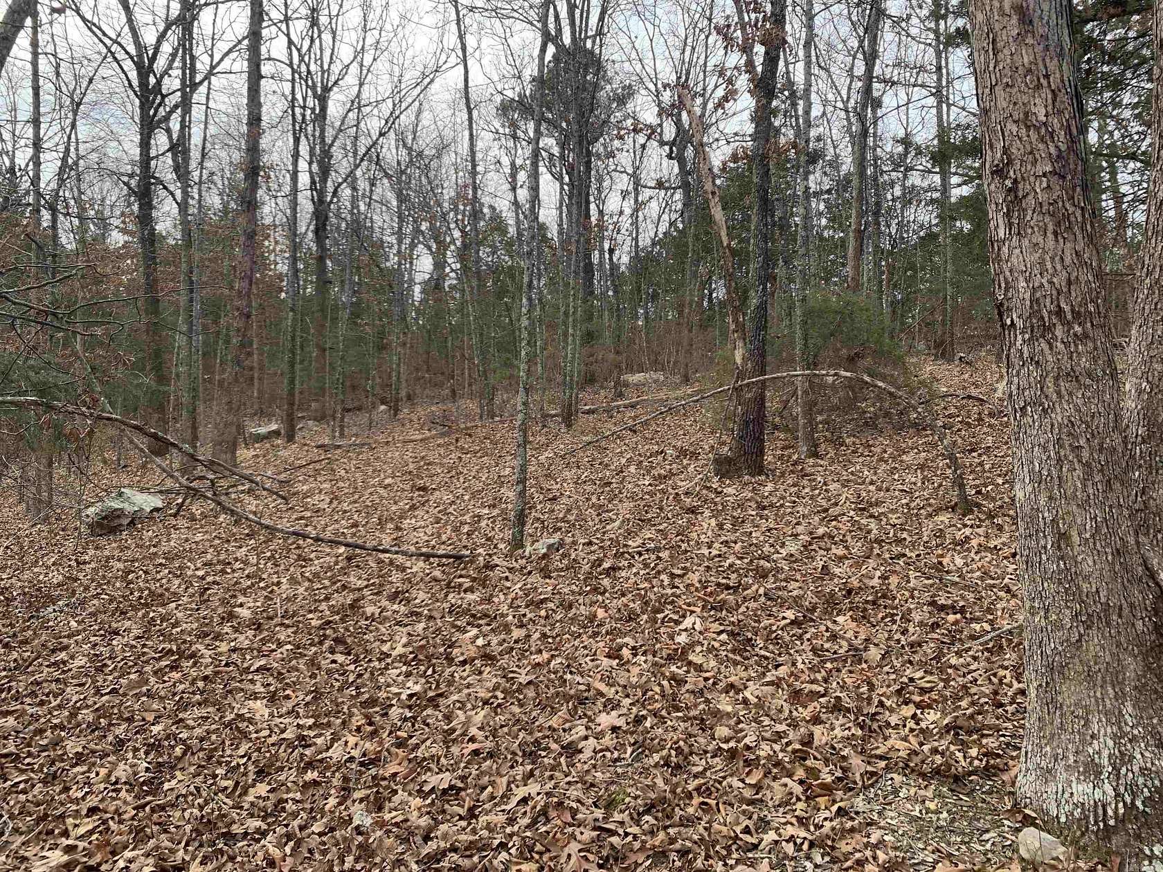 0.5 Acres of Residential Land for Sale in Mountain Home, Arkansas