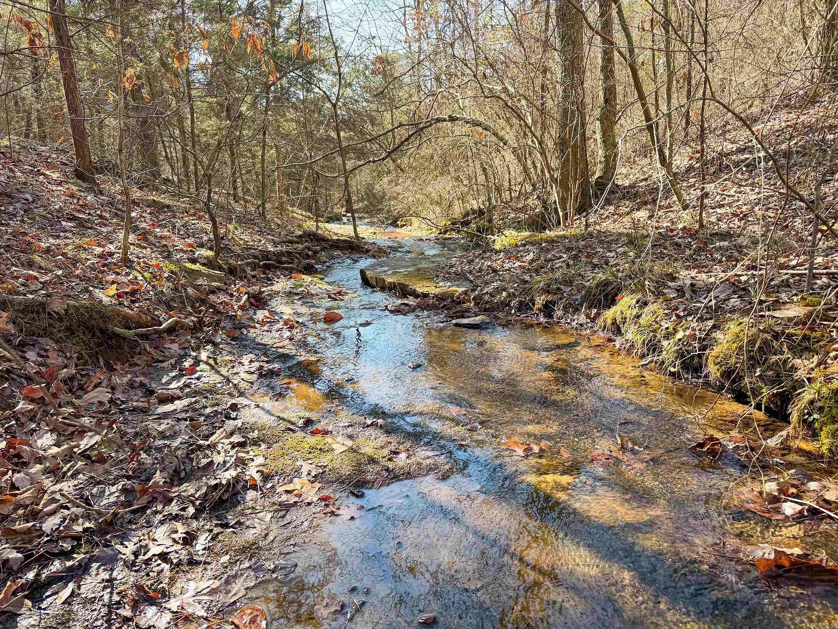 18.5 Acres of Recreational & Residential Land for Sale in Quitman, Arkansas