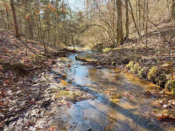 18.5 Acres of Recreational & Residential Land for Sale in Quitman, Arkansas