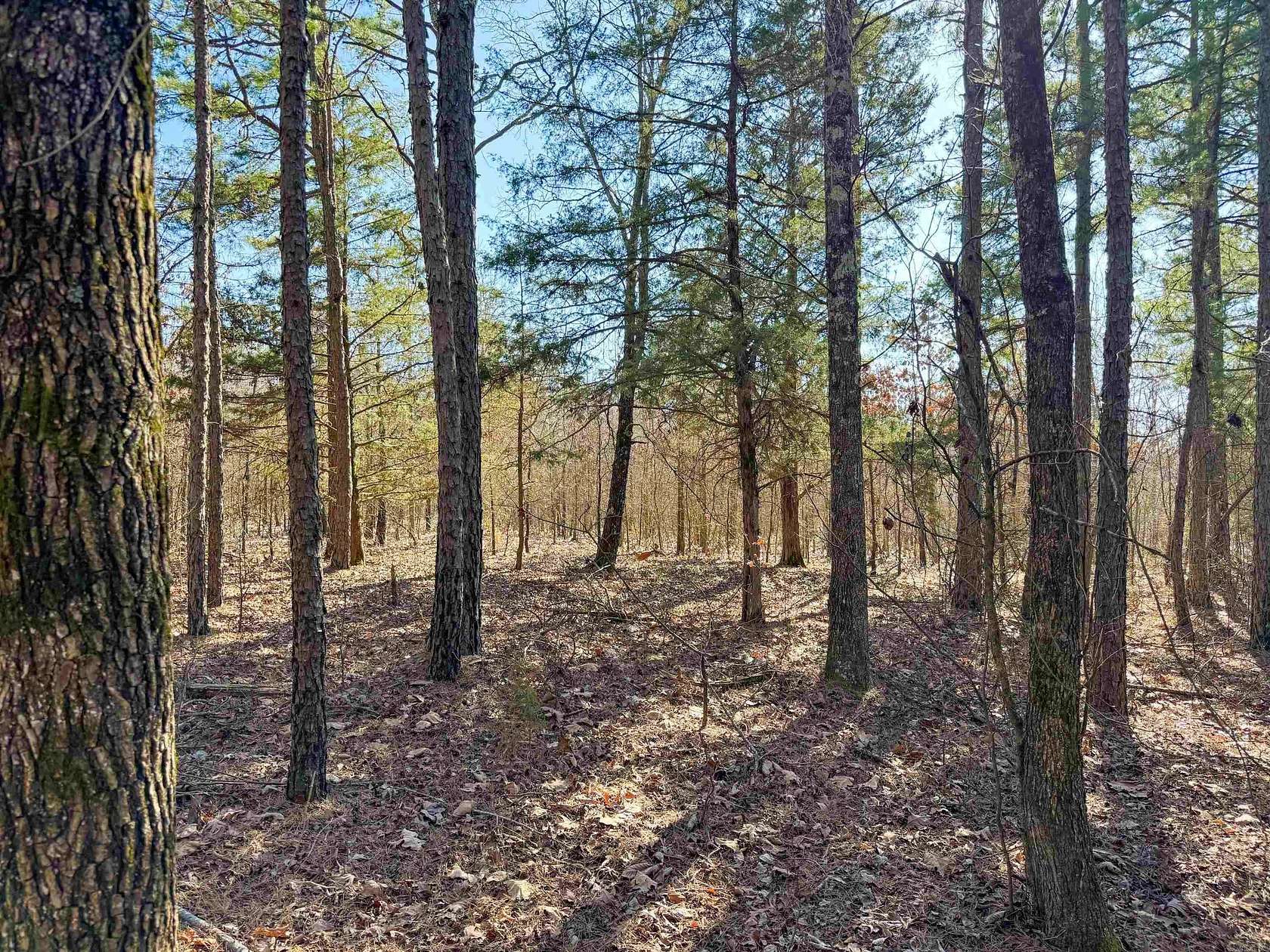 10.2 Acres of Recreational & Residential Land for Sale in Quitman, Arkansas