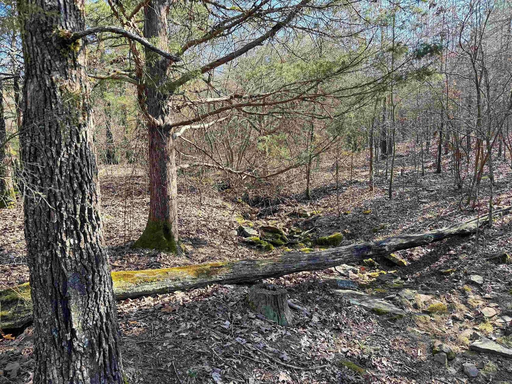 10.5 Acres of Recreational & Residential Land for Sale in Quitman, Arkansas