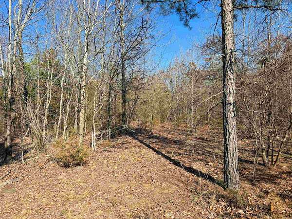 12.5 Acres of Land for Sale in Quitman, Arkansas