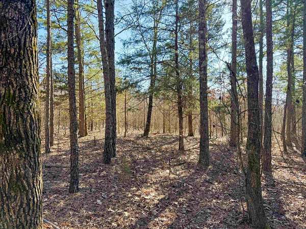 10.2 Acres of Recreational & Residential Land for Sale in Quitman, Arkansas