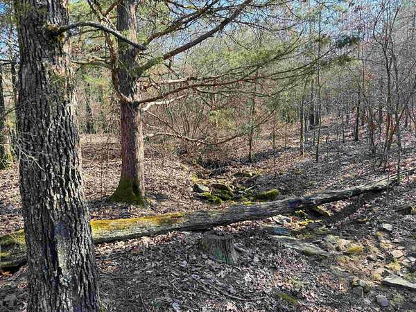 10.5 Acres of Recreational & Residential Land for Sale in Quitman, Arkansas