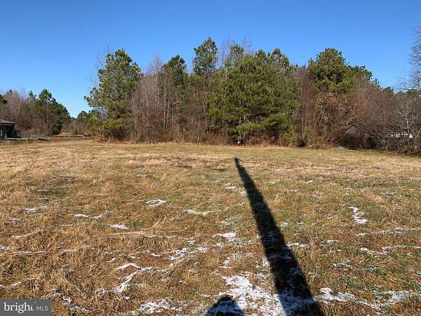 3 Acres of Land for Sale in Pittsville, Maryland
