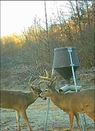 41.8 Acres of Agricultural Land for Sale in Bee Spring, Kentucky