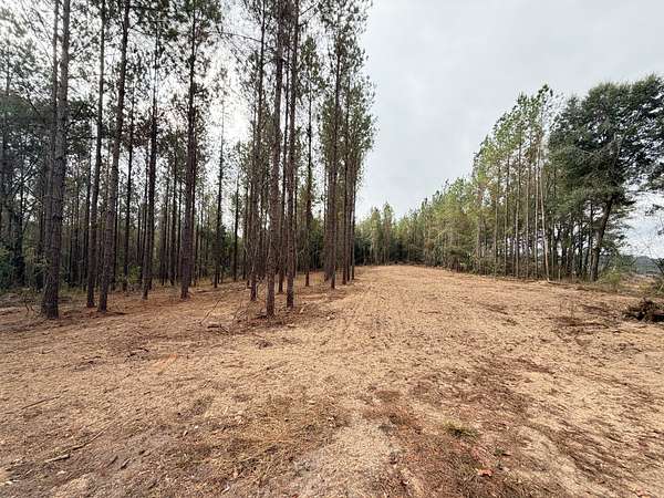 28 Acres of Recreational Land for Sale in Brantley, Alabama
