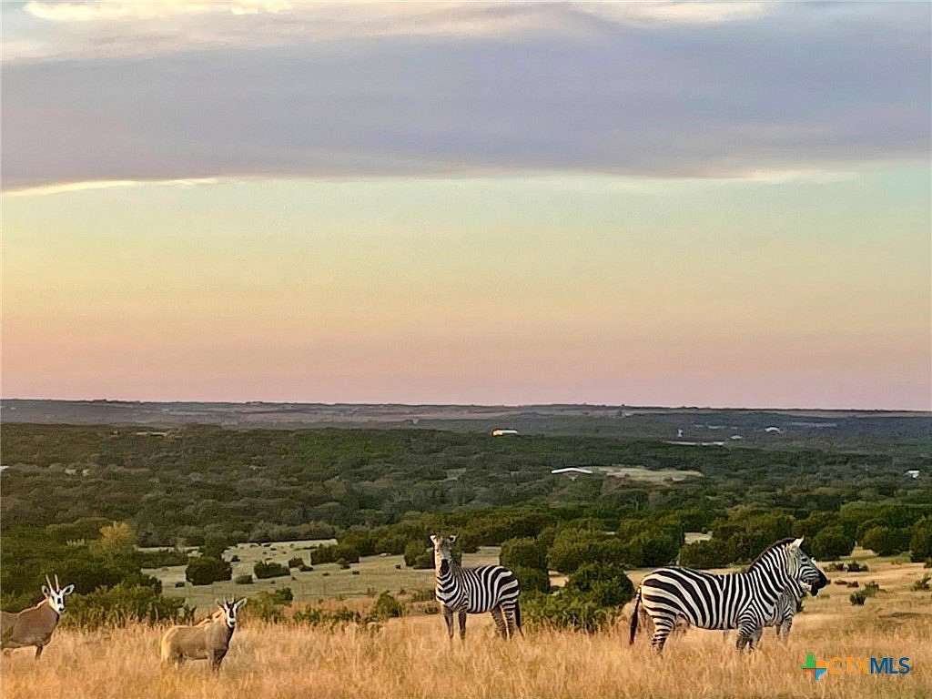 207 Acres of Land for Sale in Lampasas, Texas