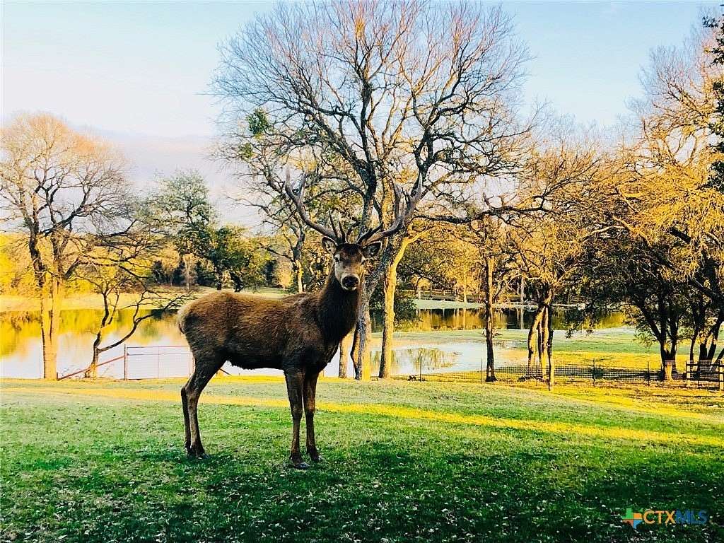 207 Acres of Land for Sale in Lampasas, Texas