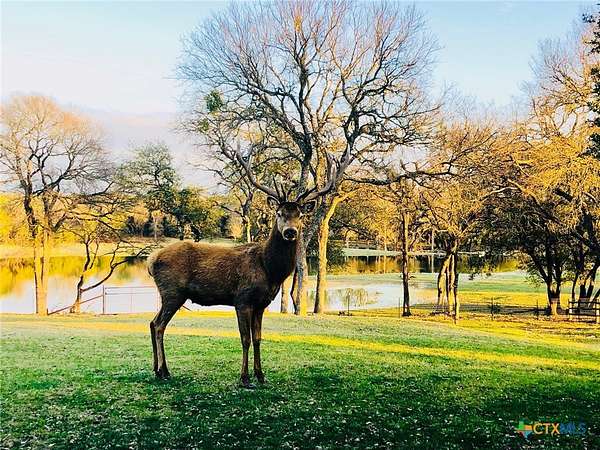 207 Acres of Land for Sale in Lampasas, Texas