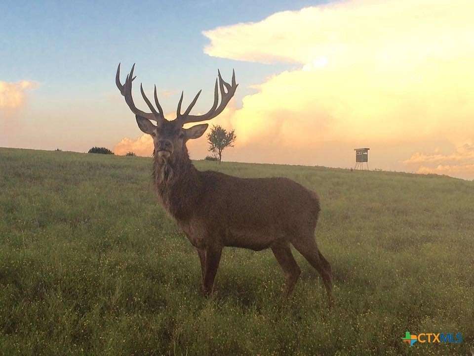 57 Acres of Recreational & Residential Land for Sale in Lampasas, Texas