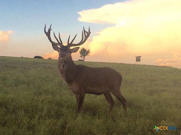 57 Acres of Recreational & Residential Land for Sale in Lampasas, Texas