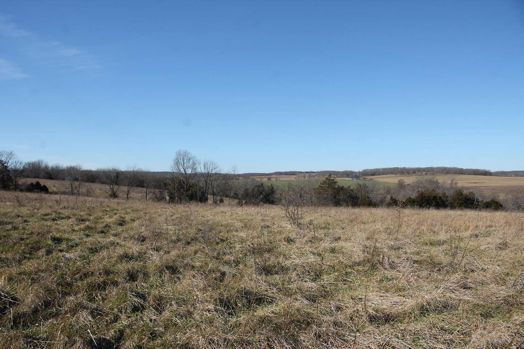 44 Acres of Agricultural Land for Sale in Bucyrus, Missouri