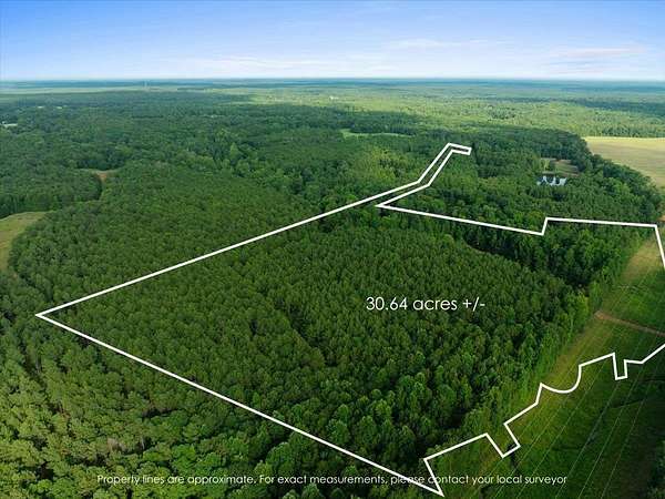 30 Acres of Recreational Land for Sale in Rutledge, Georgia
