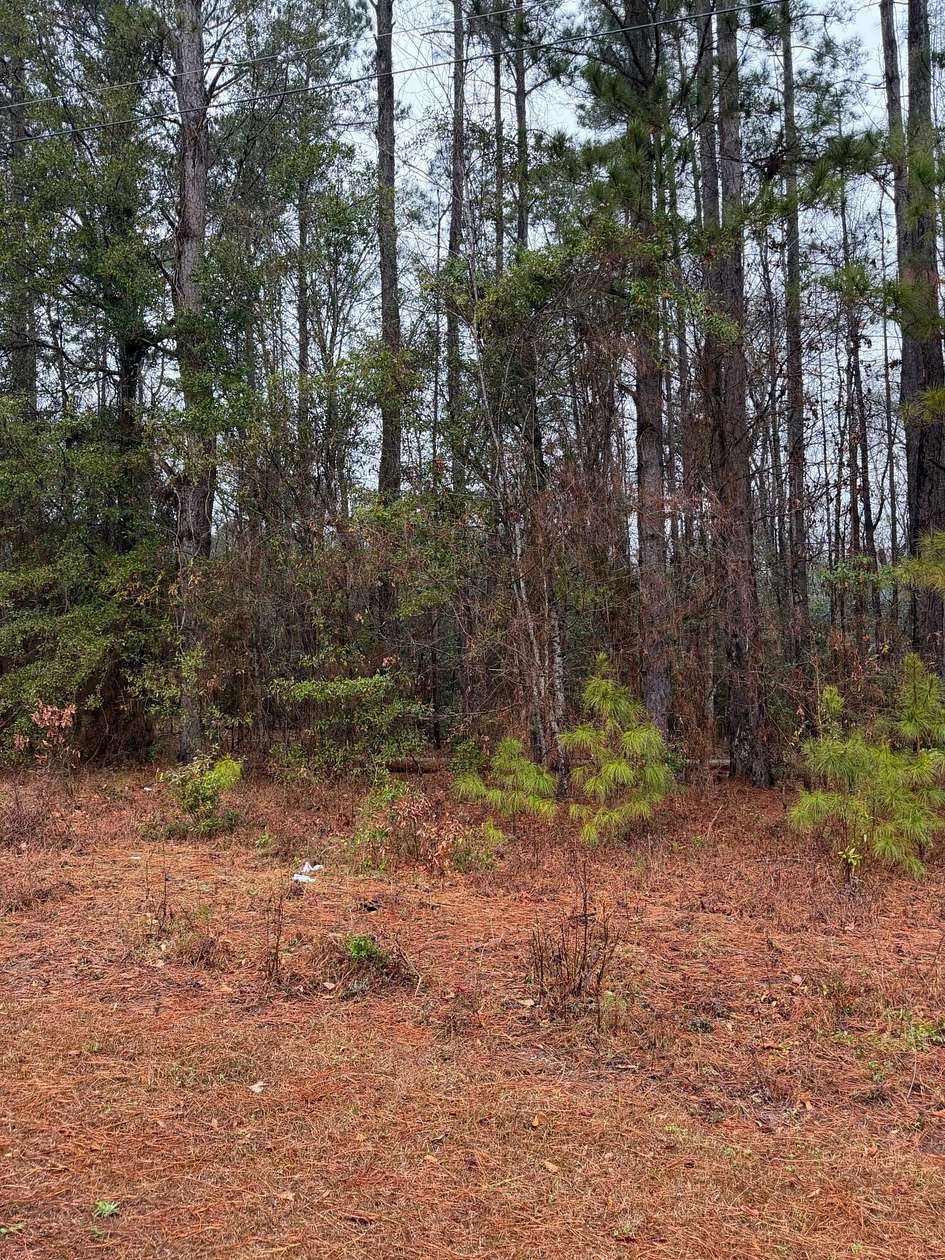 0.69 Acres of Residential Land for Sale in Santee, South Carolina