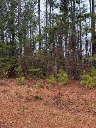 0.69 Acres of Residential Land for Sale in Santee, South Carolina