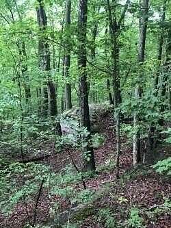 1.2 Acres of Residential Land for Sale in Signal Mountain, Tennessee