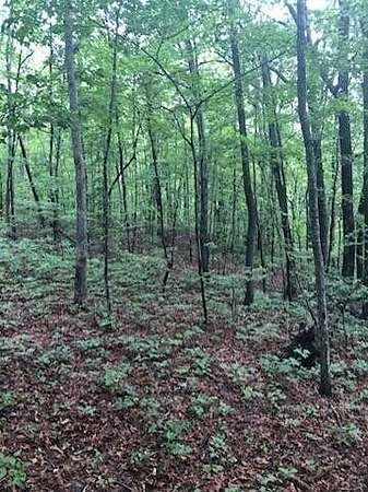 1.2 Acres of Residential Land for Sale in Signal Mountain, Tennessee