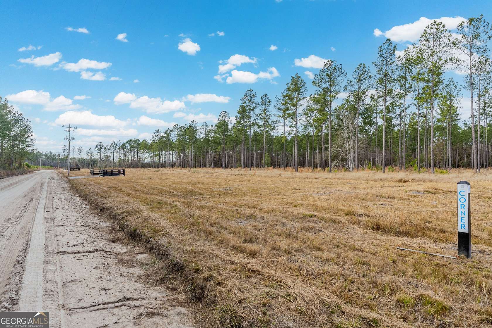 9.4 Acres of Agricultural Land for Sale in Brooklet, Georgia