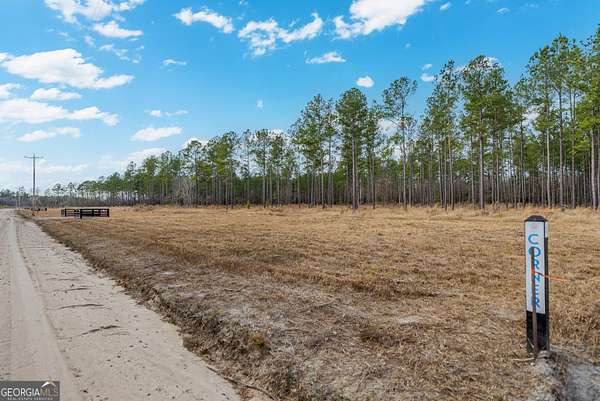 7.19 Acres of Agricultural Land for Sale in Brooklet, Georgia