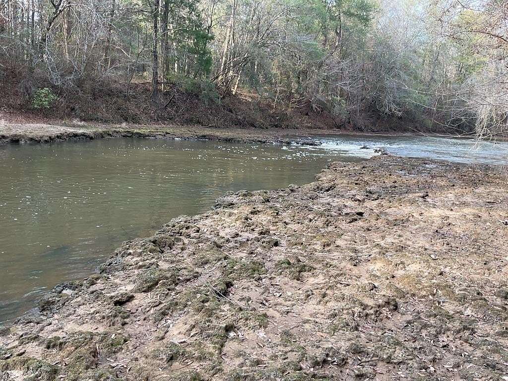 7 Acres of Recreational Land for Sale in Red Level, Alabama