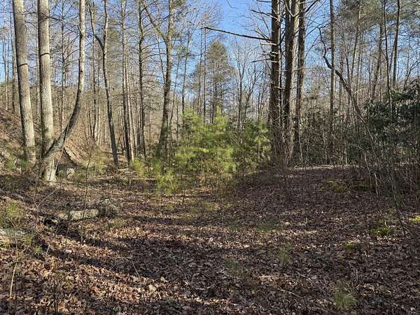 1.29 Acres of Residential Land for Sale in Cosby, Tennessee