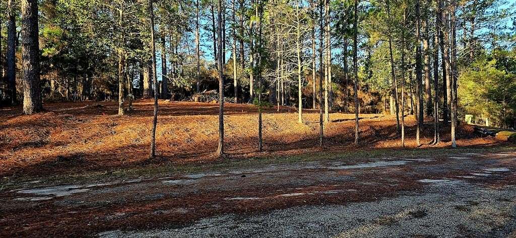 0.23 Acres of Residential Land for Sale in Brookeland, Texas