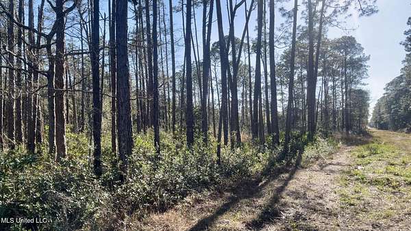 0.45 Acres of Residential Land for Sale in Ocean Springs, Mississippi