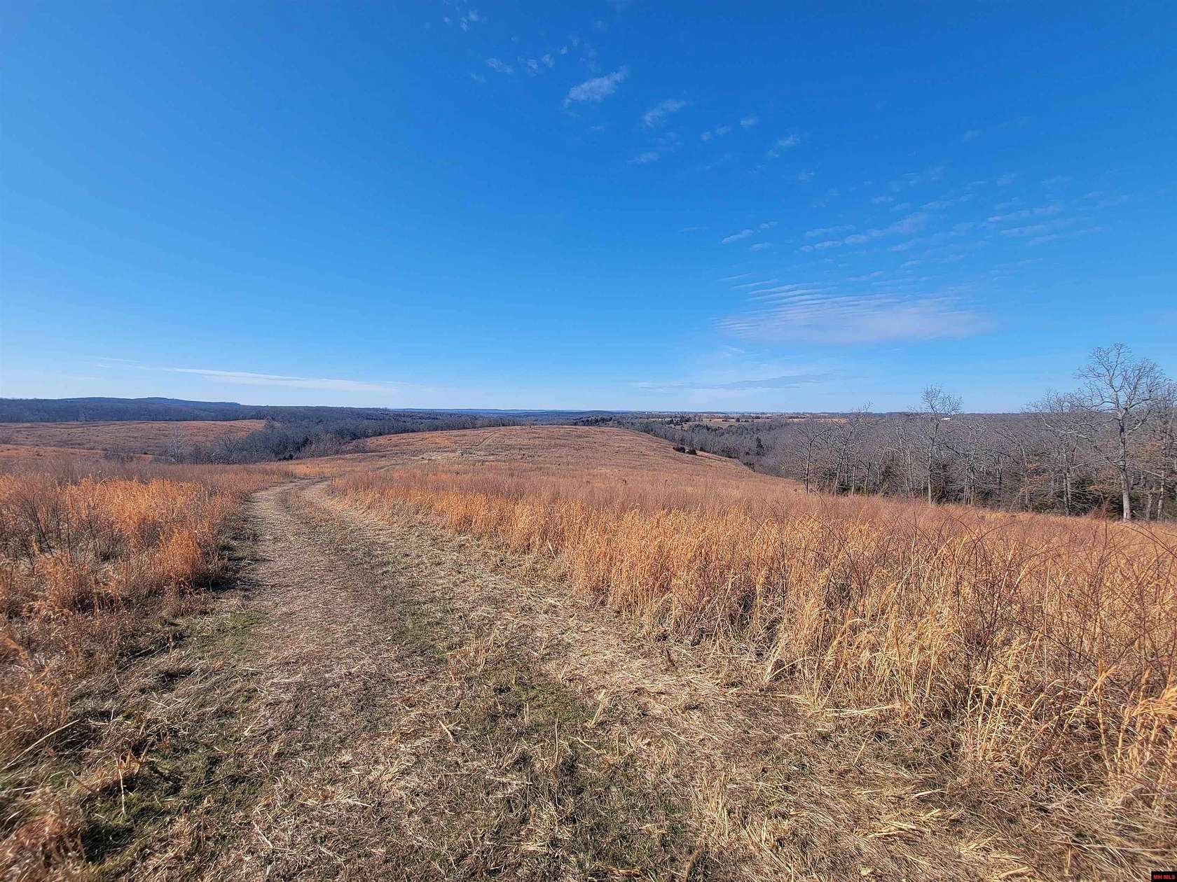 351 Acres of Agricultural Land for Sale in Gainesville, Arkansas