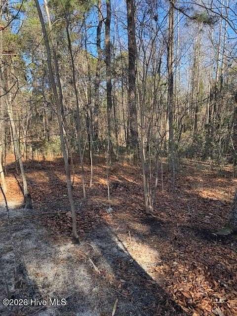 1 Acre of Residential Land for Sale in West End, North Carolina