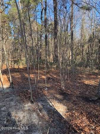 1 Acre of Residential Land for Sale in West End, North Carolina
