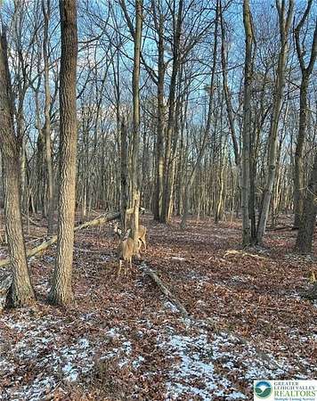 0.45 Acres of Land for Sale in Tobyhanna Township, Pennsylvania