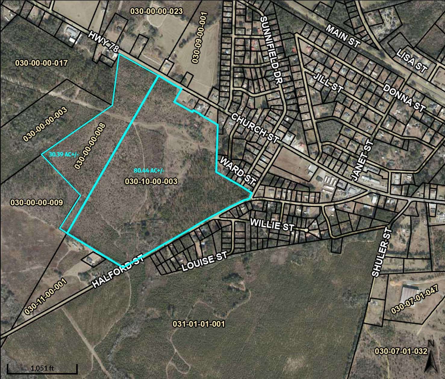111 Acres of Agricultural Land for Sale in Williston, South Carolina