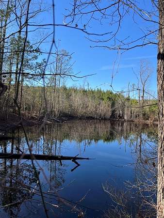 5 Acres of Residential Land for Sale in Needmore, Alabama