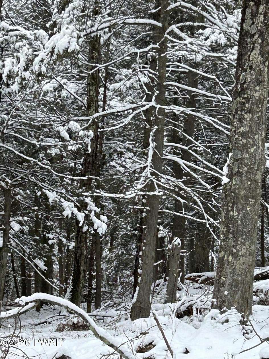 1.39 Acres of Residential Land for Sale in Greentown, Pennsylvania