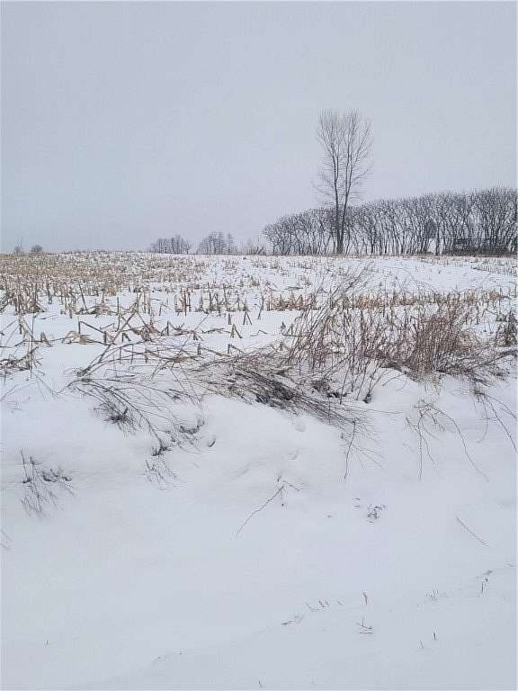 2.2 Acres of Residential Land for Sale in Neillsville, Wisconsin