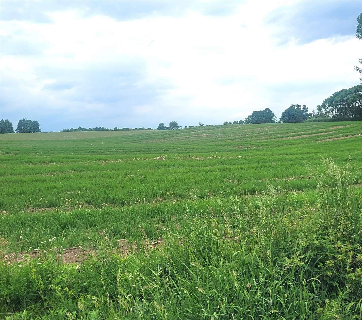 2.2 Acres of Residential Land for Sale in Neillsville, Wisconsin
