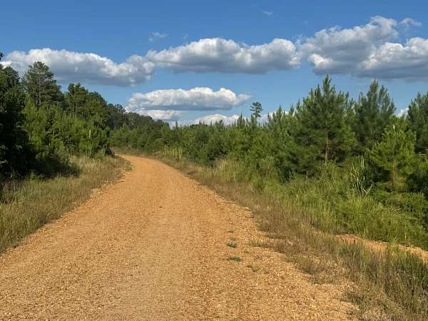 51.6 Acres of Recreational Land for Sale in McCarley, Mississippi