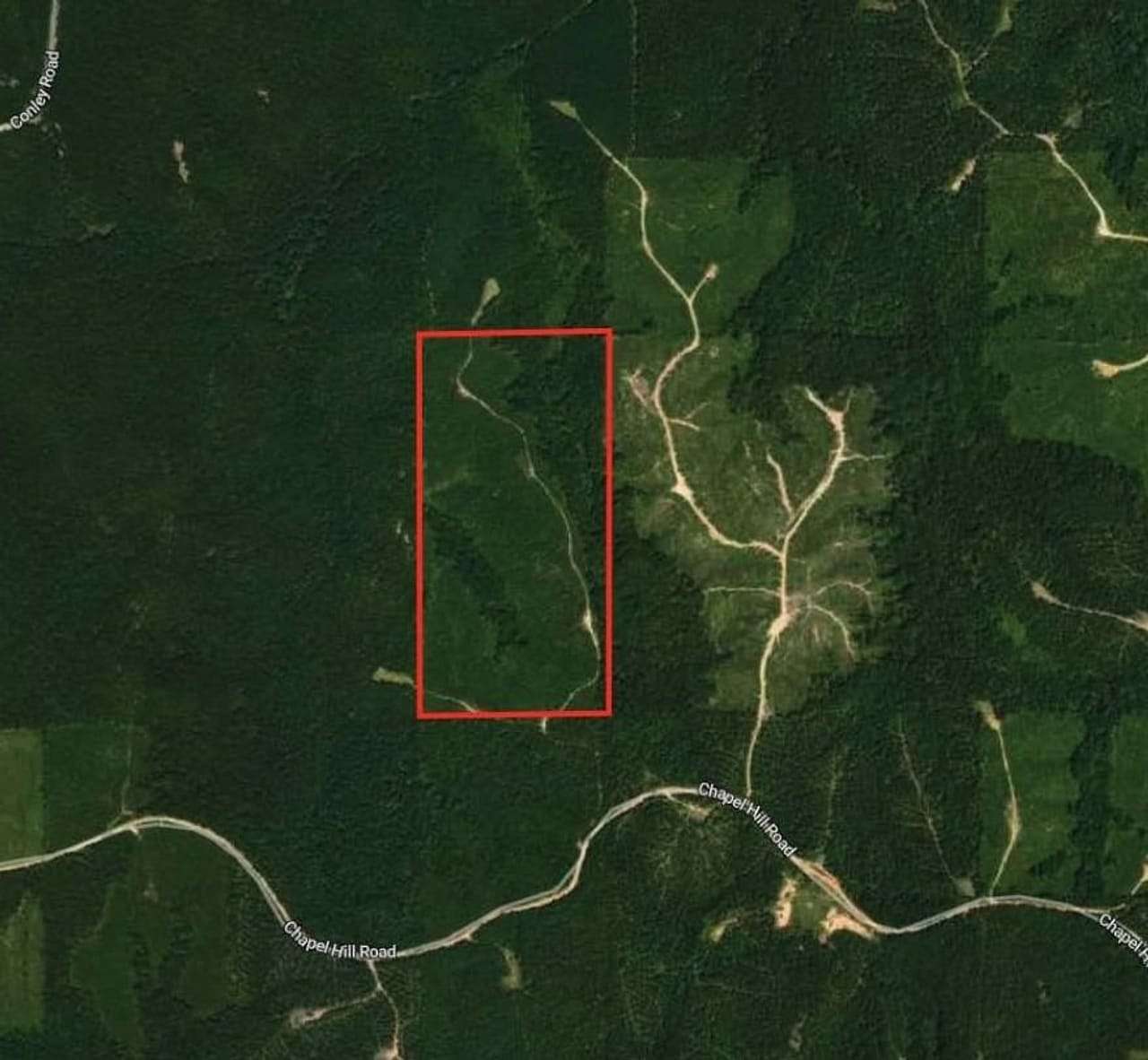 82.4 Acres of Recreational Land for Sale in Grenada, Mississippi