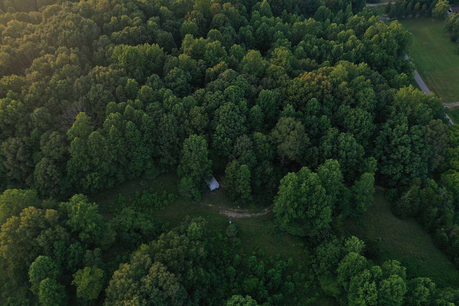 16.5 Acres of Recreational Land for Sale in Bee Spring, Kentucky