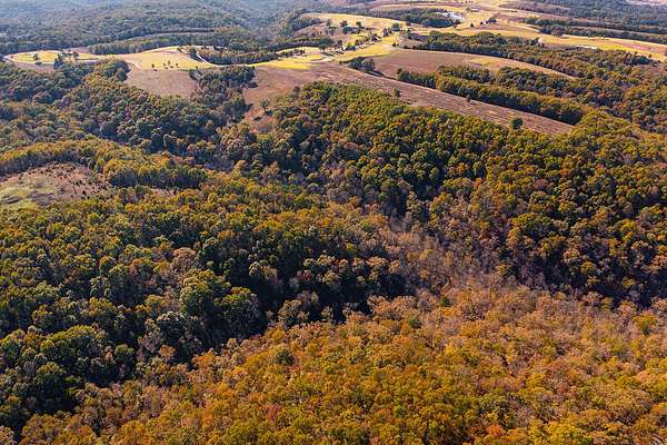 20 Acres of Recreational Land for Sale in Hollister, Missouri