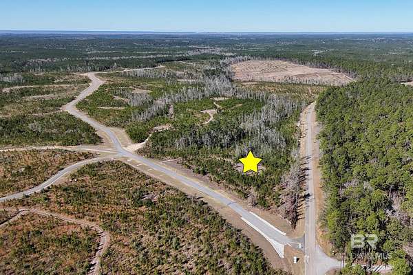 49.9 Acres of Recreational Land for Sale in Bay Minette, Alabama