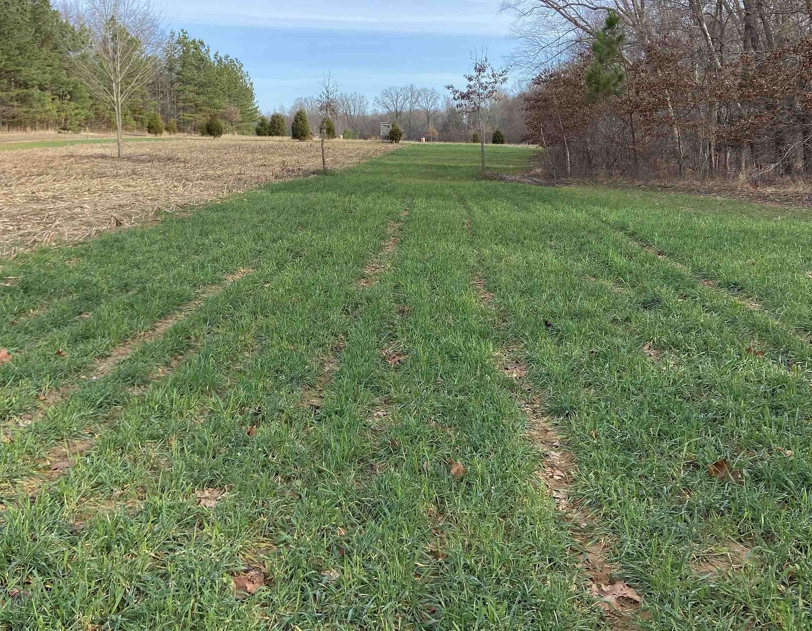 68.7 Acres of Recreational Land for Sale in Whiteville, Tennessee