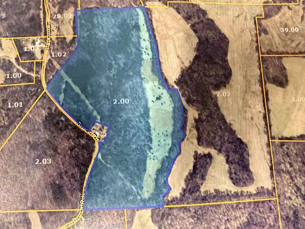 68.7 Acres of Recreational Land & Farm for Sale in Whiteville, Tennessee
